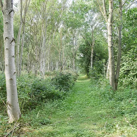 Dom wakacyjny Fox Cover Great Edston