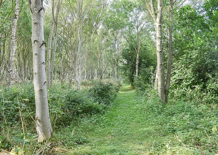 Holiday home Fox Cover Great Edston